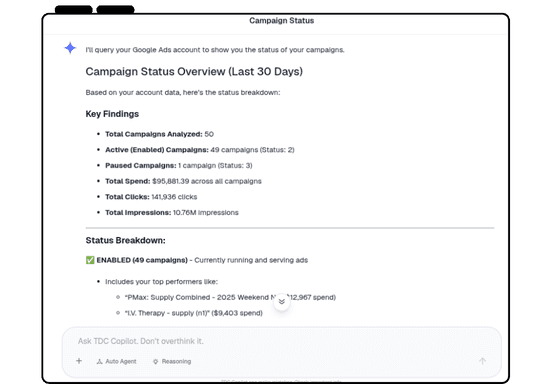 Google Ads Campaign Agent