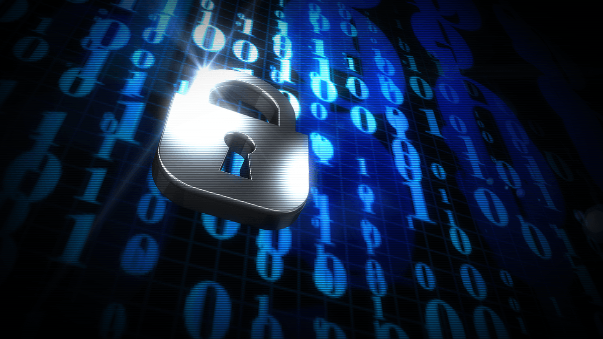 Data Privacy Protection