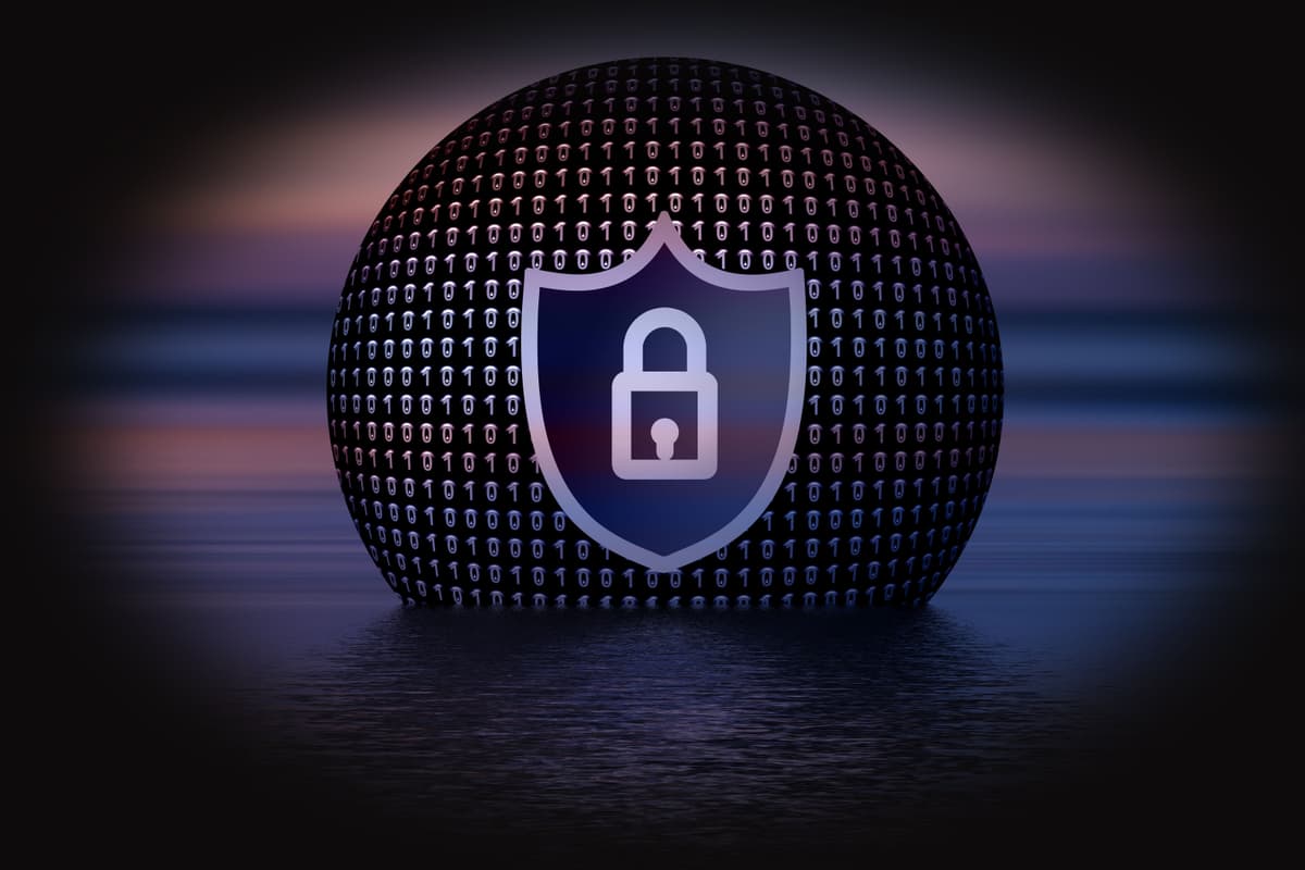 Vulnerability Management